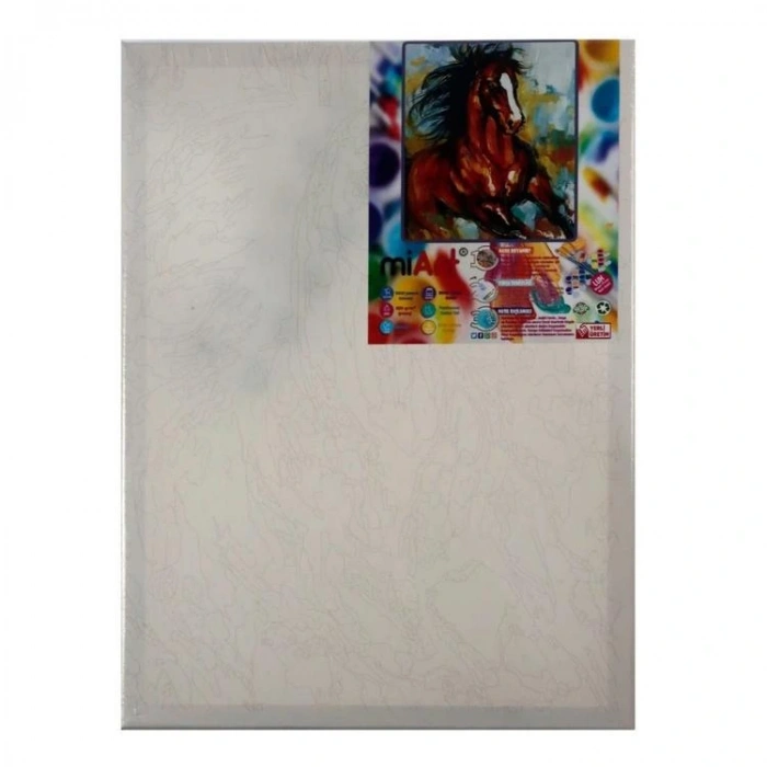 MİART 30X40 SAYILARLA BOYAMA TUVAL - AT