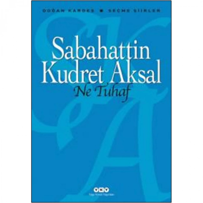 NE TUHAF SEÇME ŞİİRLER