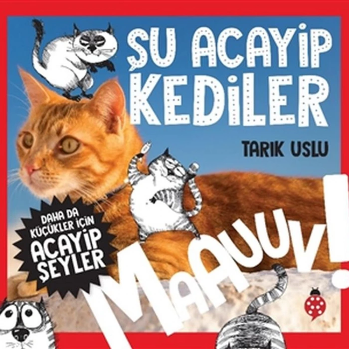 DAHA DA KÜÇÜKLER İÇİN ACAYİP ŞEYLER 1 - ŞU ACAYİP KEDİLER