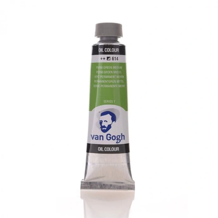 VAN GOGH YAĞLI BOYA 40 ML T.9 PERMANENT GREEN MEDIUM  RT02056143