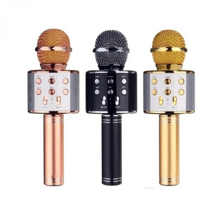 POLYGOLD PG-116 KARAOKE MİKROFON