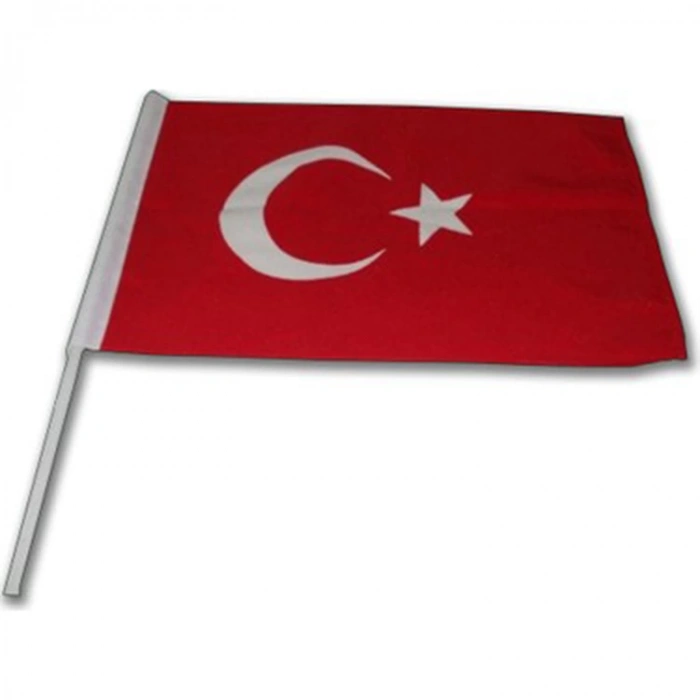 TEKNOPOİNT SOPALI BEZ TÜRK BAYRAK 30X45cm - TEKLİ