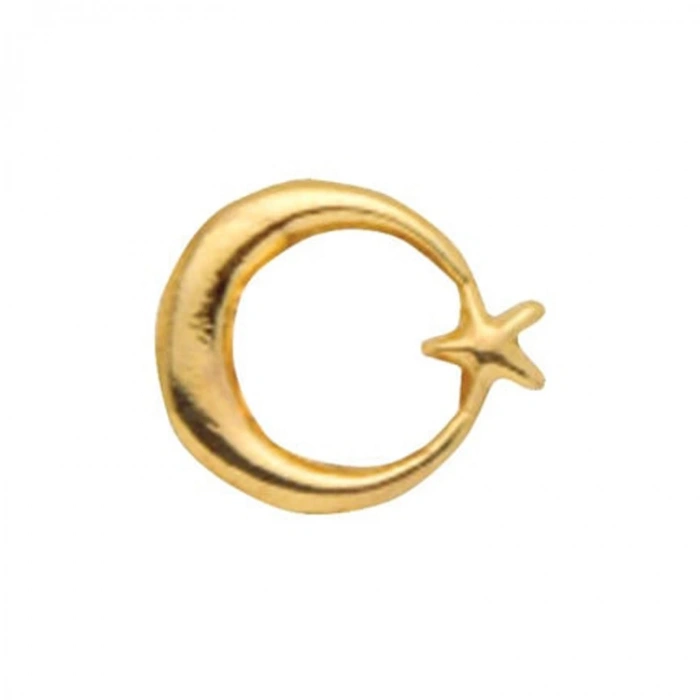 KUZEY AYYILDIZ YAKA ROZETİ - TEKLİ