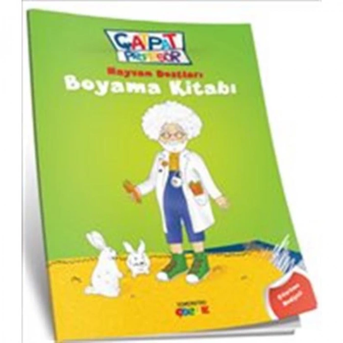 ÇATPAT PROFESÖR / HAYVAN DOSTLARI BOYAMA KİTABI