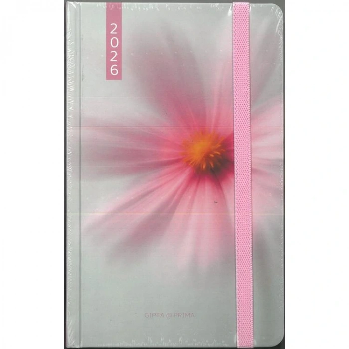 GIPTA139-RPK PRIMA 13X21 SERT KAPAK LASTİKLİ GÜNLÜK AJANDA