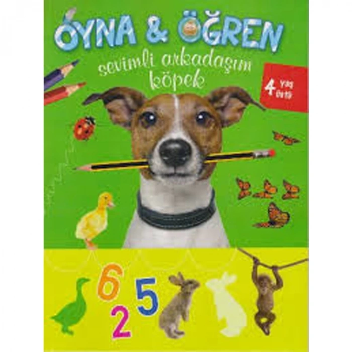 OYNA-ÖĞREN SEVİMLİ ARKADAŞIM KÖPEK 4 YAŞ ÜSTÜ