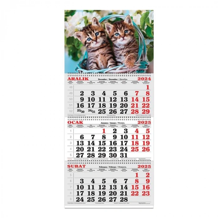 KESKİN 600031  3 AYLIK SPİRALLİ JUMBO DENİZCİ TAKVİMİ- KEDİLER