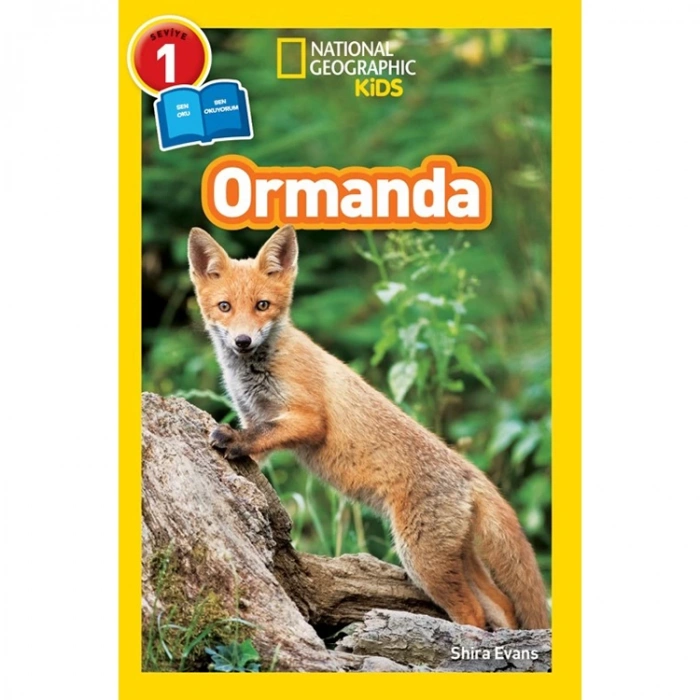NATIONAL GEOGRAPHIC KIDS -  ORMANDA 1. SEVİYE