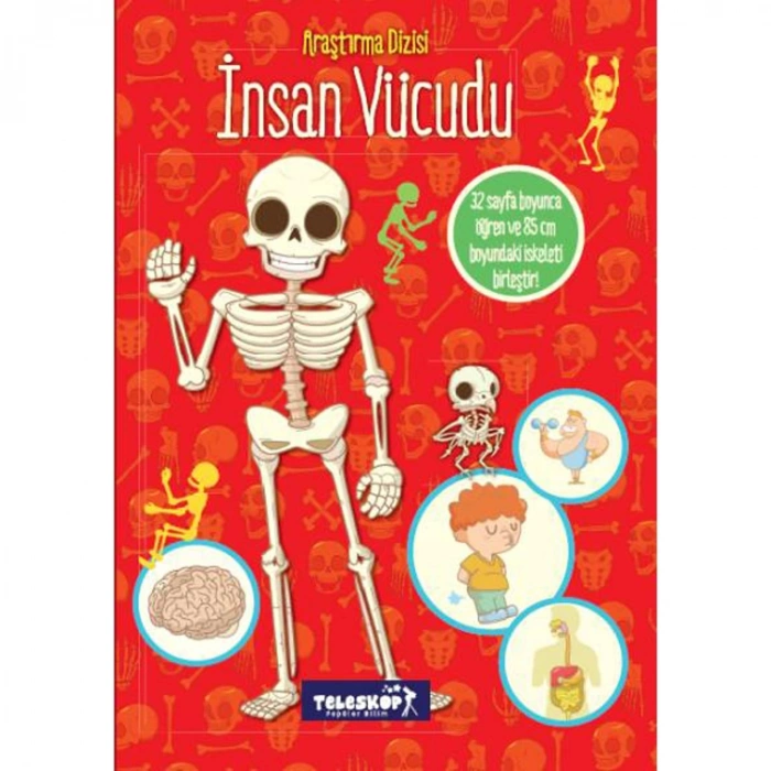 İNSAN VÜCUDU - ARAŞTIRMA DİZİSİ