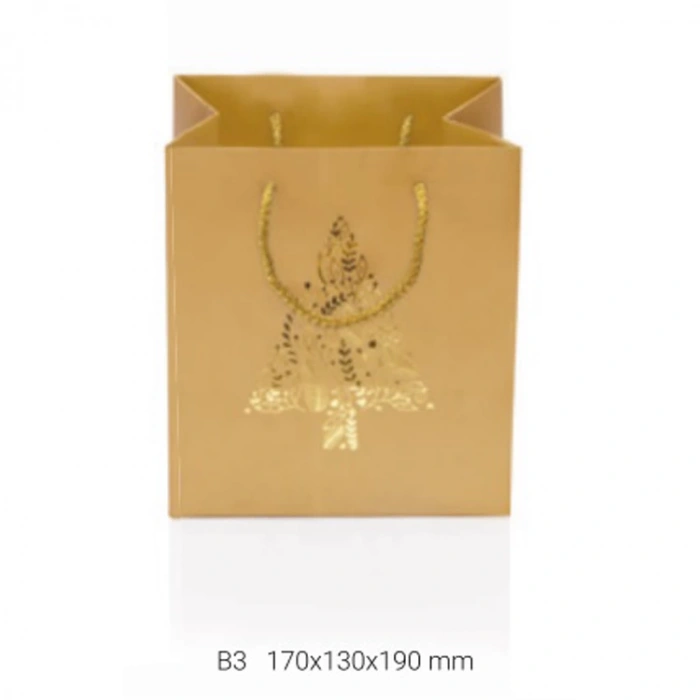 GIPTA B3 LUZ HEDİYELİK KARTON ÇANTA BG0146