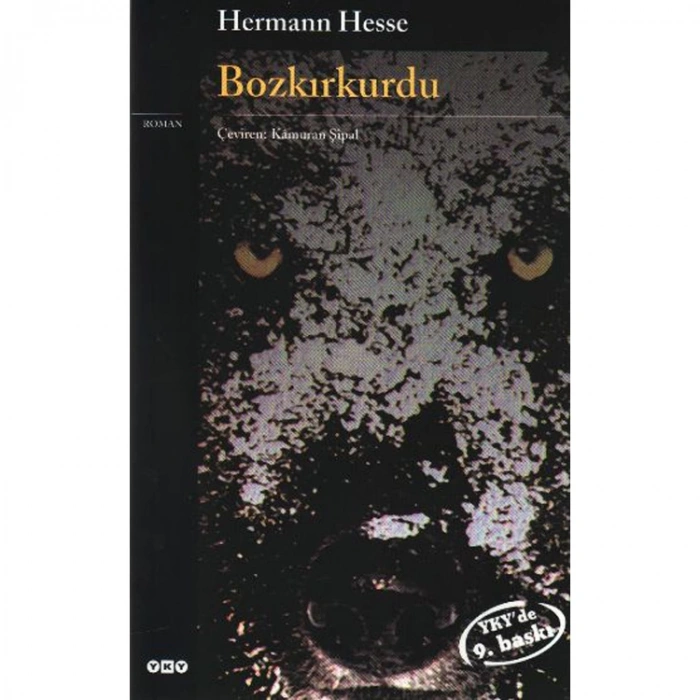 BOĞAZİÇİNDE BİR GEZİNTİ