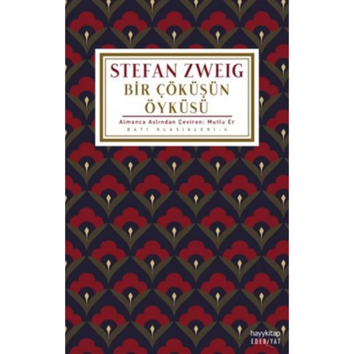 BİR ÇÖKÜŞÜN ÖYKÜSÜ