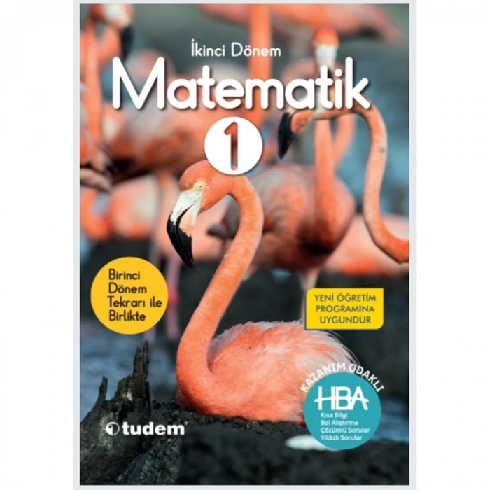 TUDEM 1. SINIF MATEMATİK 2. DÖNEM HBA