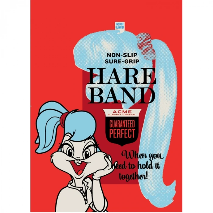 LOONEY TUNES CAMPUS DEFTERİ 26X18.5 40 YP. KARELİ