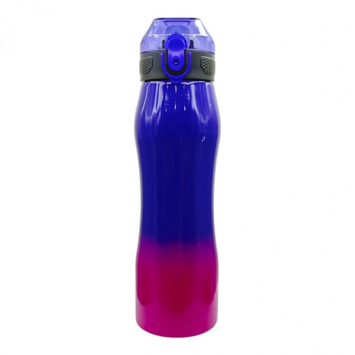 MİKRO MT-6030 RENK GEÇİŞLİ (İKİ RENKLİ) ÇELİK MATARA 750 ML