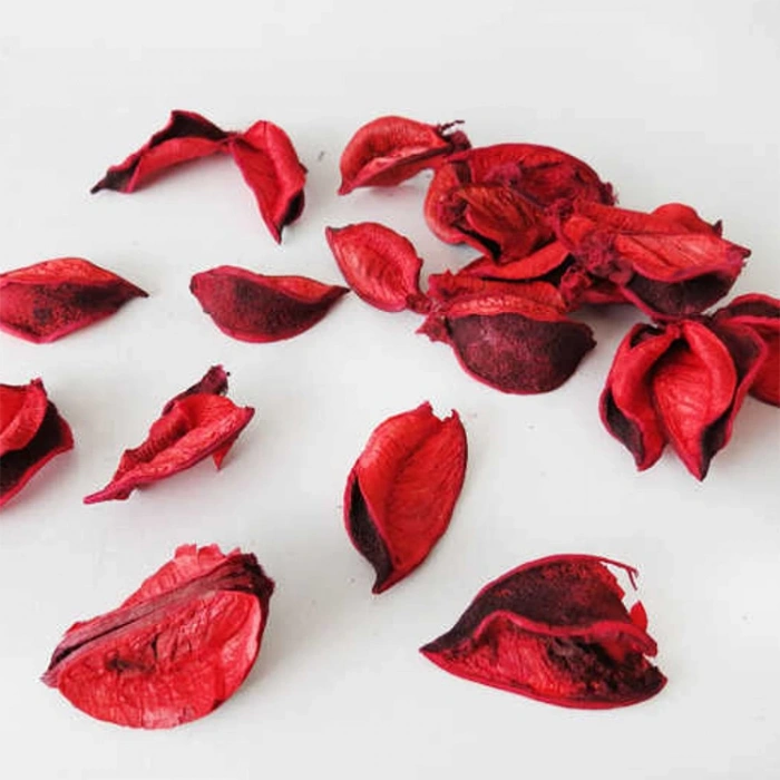 PART MARTY NEDİ-10999R GÜL KURUSU KABUK PAKET KIRMIZI