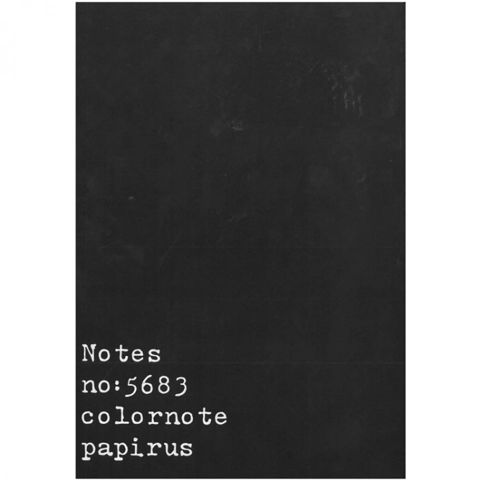 PAPİRÜS NOTES TERZİ DİKİŞ KARTON KAPAK 16X23 56YP. ÇİZGİLİ DEFTER