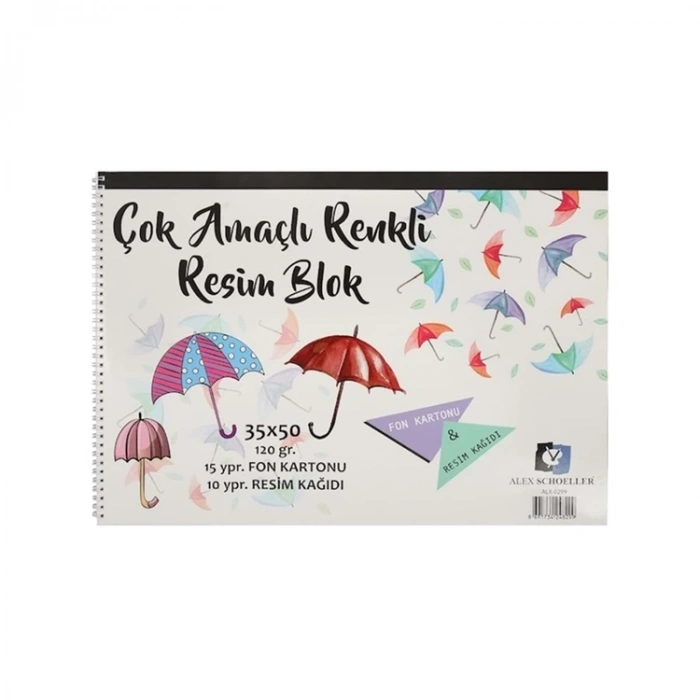 ALEX SCHOELLER ÇOK AMAÇLI BLOK RESİM DEFTERİ 35x50 120gr. ALX-0299