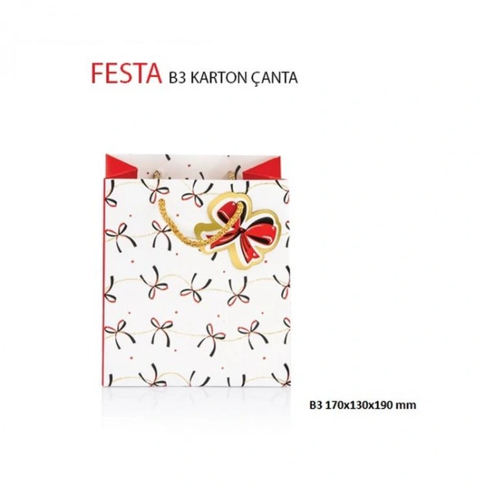 GIPTA B3 FESTA HEDİYELİK KARTON ÇANTA BG2758