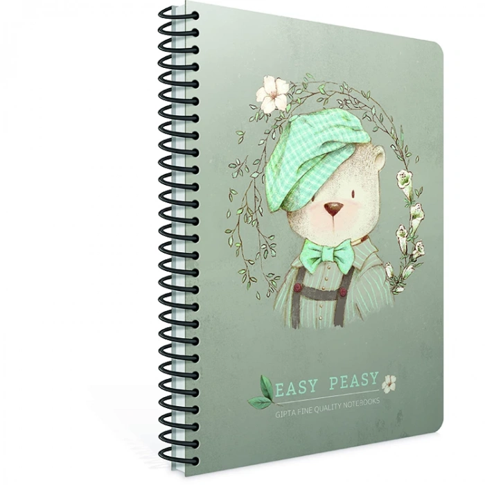 GIPTA EASY NOTES SPİRALLİ KARTON KAPAK DEFTER A4 100YP. ÇİZGİLİ