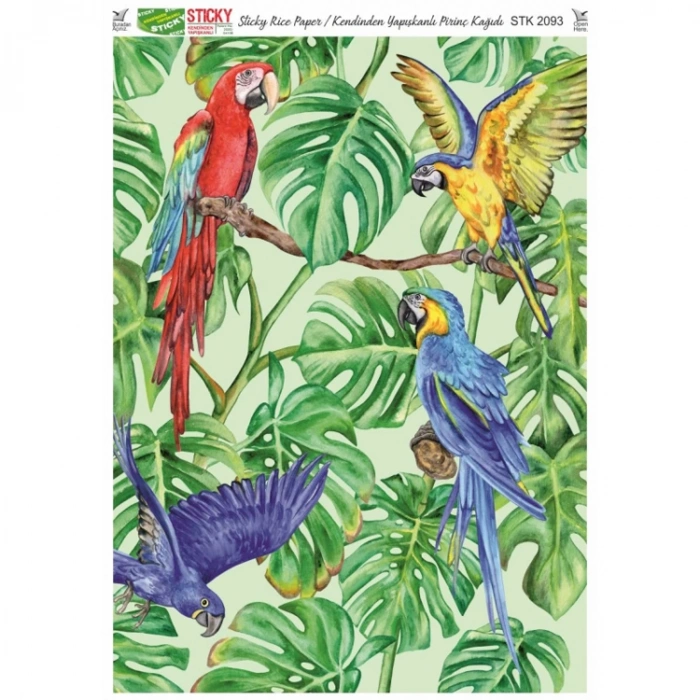 RİCH STK2093 KENDİNDEN YAPIŞKANLI STİCKY PİRİNÇ KAĞIDI