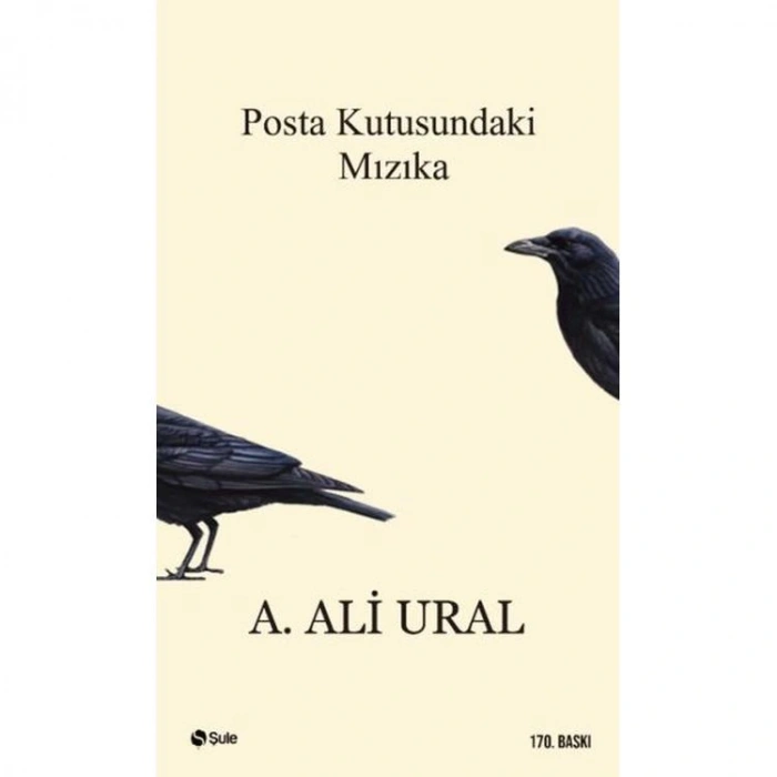 POSTA KUTUSUNDAKİ MIZIKA