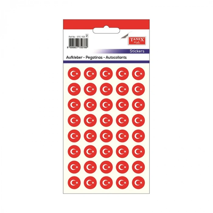 TANEX STC-253 25X17MM HOLOGRAM BAYRAK ETİKET