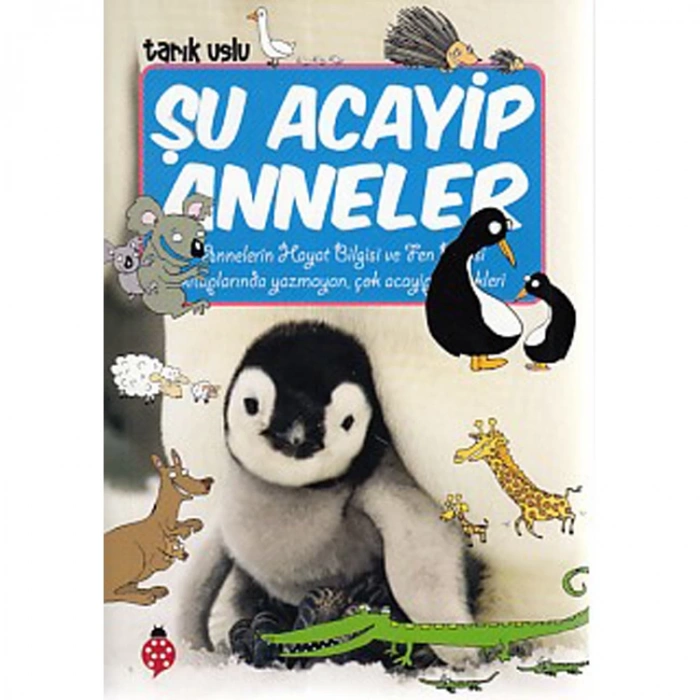 ACAYİP ŞEYLER DİZİSİ 18 ŞU ACAYİP ANNELER