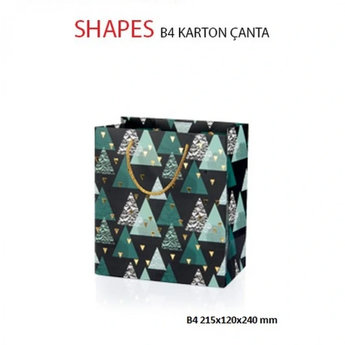 GIPTA B4 SHAPES HEDİYELİK KARTON ÇANTA BG2627