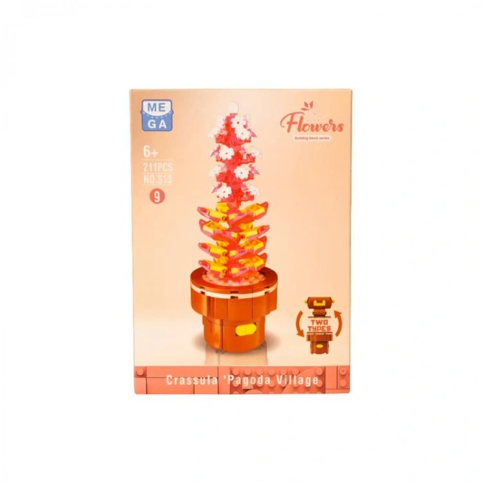 MEGA FLOWERS S13-9 SUKULENT CRASSULA PAGODA VILLAGE 211 PARÇA 6+