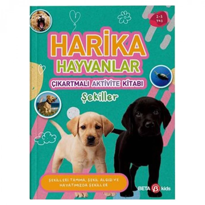 HARİKA HAYVANLAR ÇIKARTMALI AKTİVİTE KİTABI