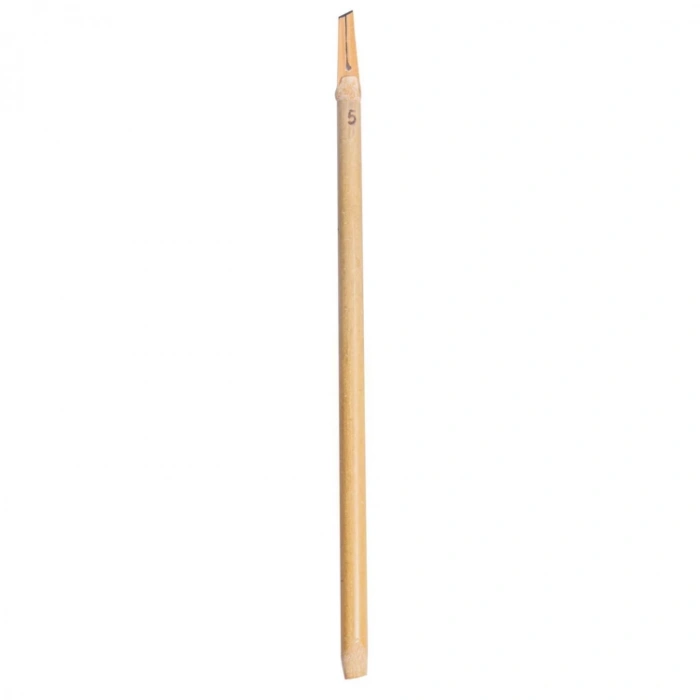 KARİN CELİ KALEM 5 mm.