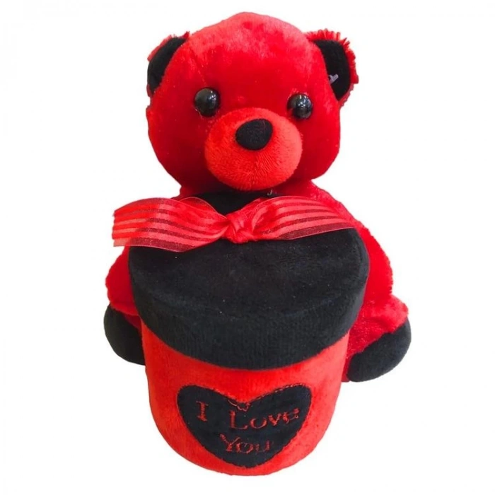 YLZ 187-20-2 AYICIKLI MİNİ HEDİYE KUTUSU 20 CM