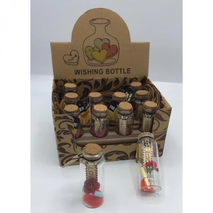 RASYONEL RH-105 CAM NOTLUK