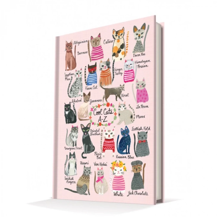 DEFFTER 14X20 SUMMER CATS / COOL CATS  SERT KAPAK ÇİZGİLİ DEFTER 96 YP