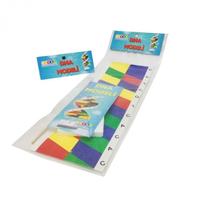 EMİN İŞ EĞİTİMİ DNA MODELİ YAPIM SETİ (KARTON)