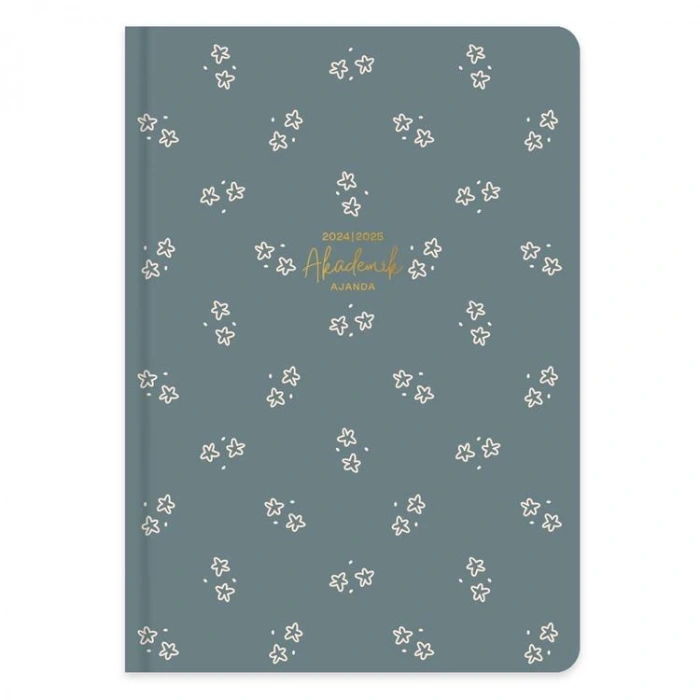 KESKİN 17X24 CİLTLİ SERT KAPAK AKADEMİK AJANDA - YILDIZ 830221-99