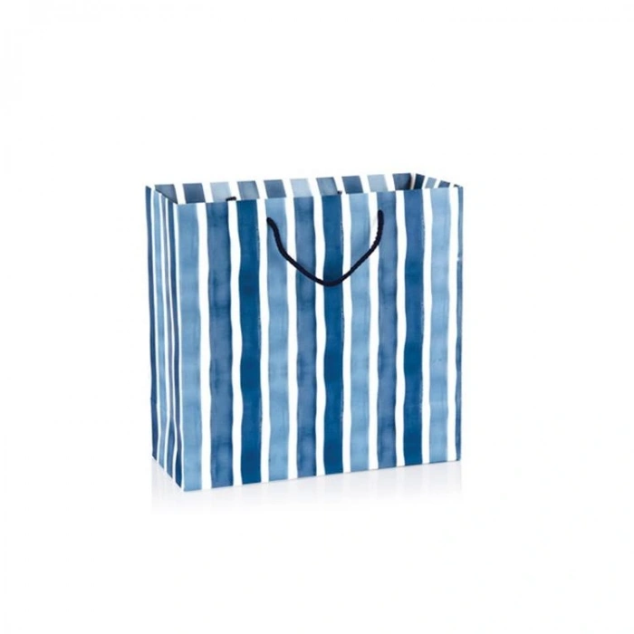 GIPTA B5 FOCUS HEDİYELİK KARTON ÇANTA BG2851