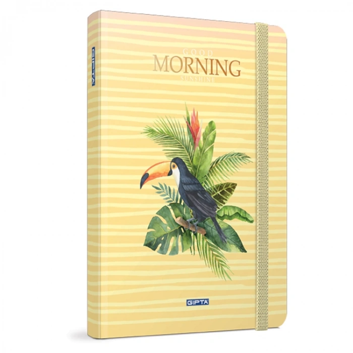 GIPTA MORNING İP DİKİŞLİ SERT KAPAK DEFTER 13X21 120YP ÇİZGİLİ