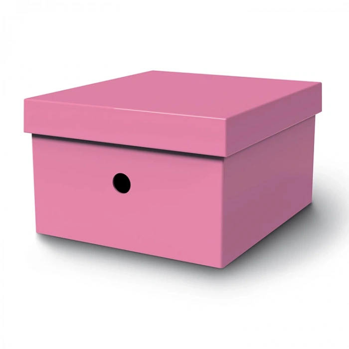 MAS 8224 RAİNBOW KÜÇÜK BOY ÇOK AMAÇLI KUTU PEMBE