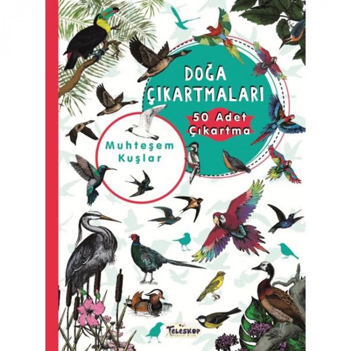 MUHTEŞEM KUŞLAR - DOĞA ÇIKARTMALARI