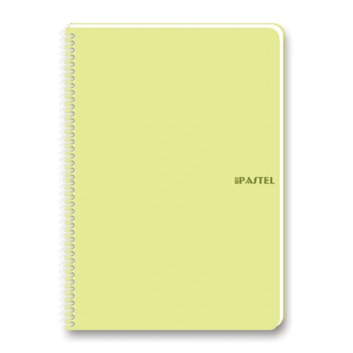 KESKİN 17X24 PASTEL NOTE SPİRALLİ PP KAPAK DEFTER 100 YP. ÇİZGİLİ