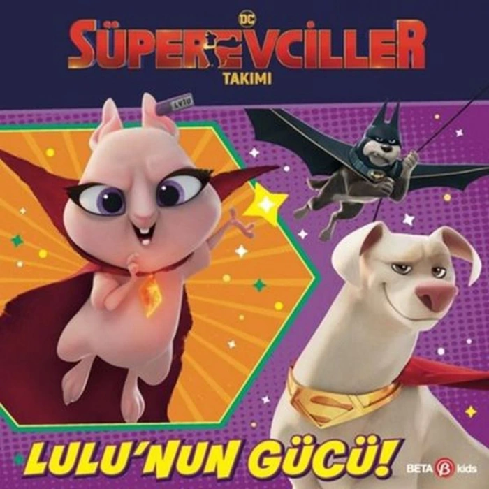DC SÜPER EVCİLLER TAKIMI LULUNUN GÜCÜ