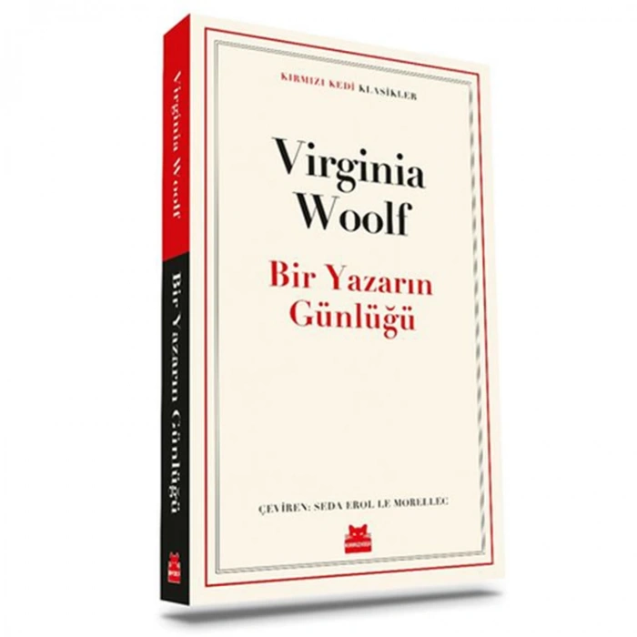 BİR YAZARIN GÜNLÜĞÜ