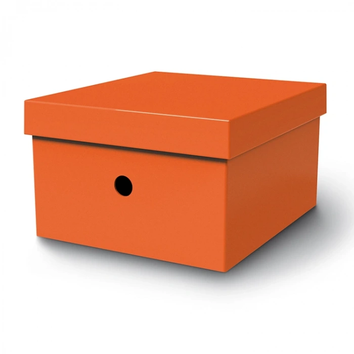 MAS 8224 RAİNBOW KÜÇÜK BOY ÇOK AMAÇLI KUTU TURUNCU