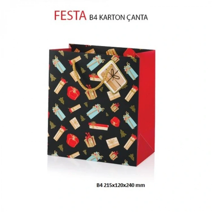 GIPTA B4 FESTA HEDİYELİK KARTON ÇANTA BG2759