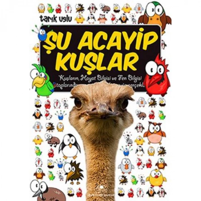 ACAYİP ŞEYLER DİZİSİ 10 ŞU ACAYİP KUŞLAR