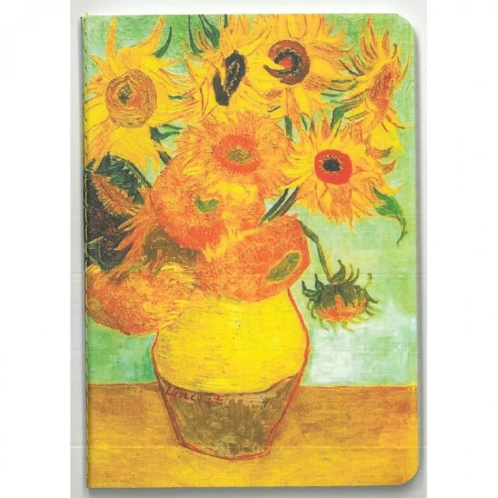 DEFFTER YAZMAK İÇİN BİR MİLYON NEDEN NOT DEFTERİ 10.5x14.8cm ÇİZGİLİ - TEKLİ