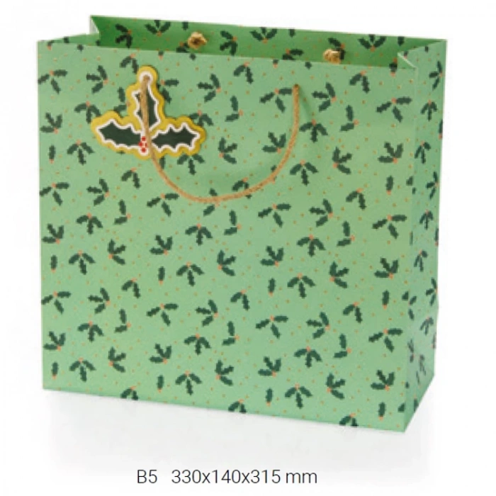 GIPTA B5 CHARM HEDİYELİK KARTON ÇANTA BG0161