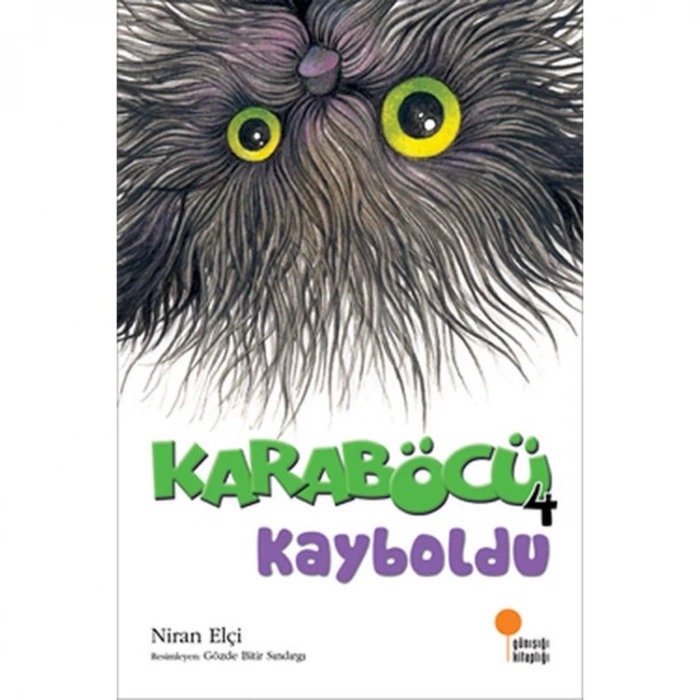 KARABÖCÜ KAYBOLDU